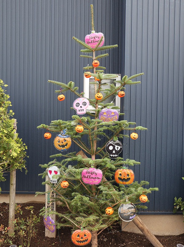 HALLOWEEN
